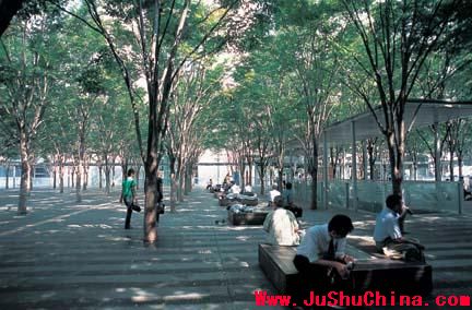 点此在新窗口浏览图片